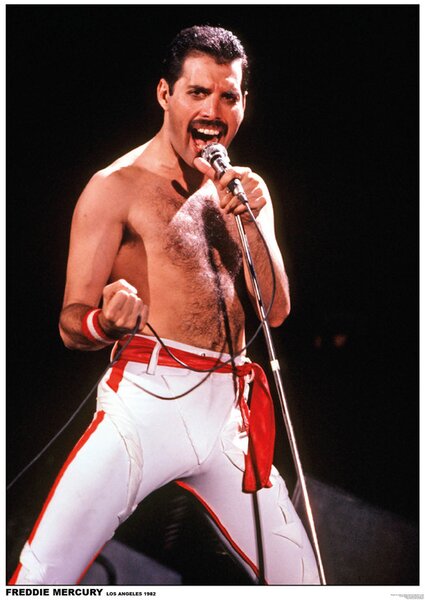 Plagát, Obraz - Queen (Freddie Mercury) - Los Angeles 1982, (59.4 x 84 cm)