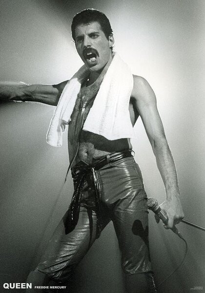 Plagát, Obraz - Queen (Freddie Mercury) - Live On Stage, (59.4 x 84 cm)
