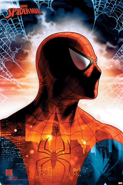 Plagát, Obraz - Spider-Man - Protector Of The City