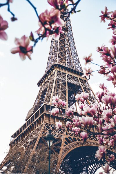 Plagát, Obraz - Paríž - Eiffelova veža