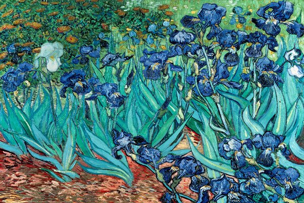 Plagát, Obraz - Vincent van Gogh - Les Irises, (91.5 x 61 cm)