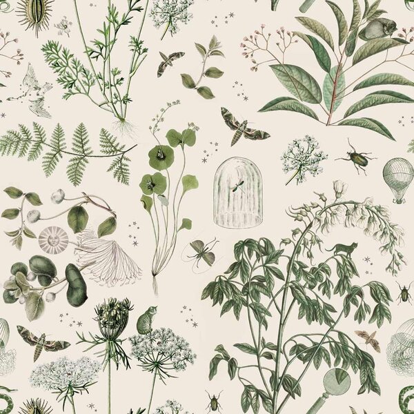 Tapeta z netkanej textílie 100 cm x 280 cm Green Botanical Stories – Dekornik