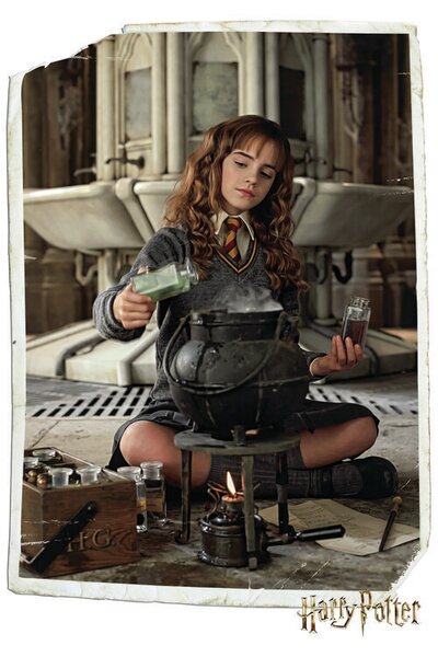 Plagát, Obraz - Harry Potter - Hermiona Grangerová