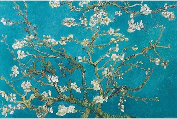 Plagát, Obraz - Mandľové kvety, (91.5 x 61 cm)