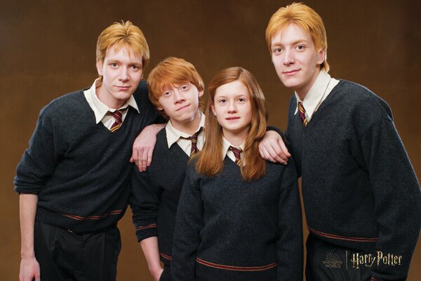 Umelecká tlač Harry Potter - Weasley family, (40 x 26.7 cm)