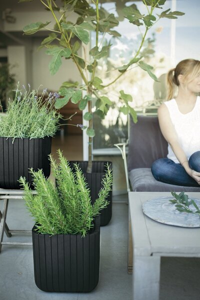 Keter Plastový kvetináč Cube planter M sivá, 30 cm