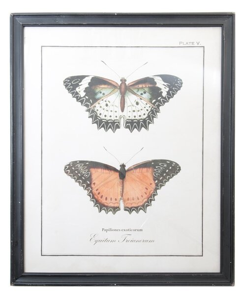 Čierny drevený nástenný obraz s motýľmi - 65*2*80 cm - Clayre & Eef