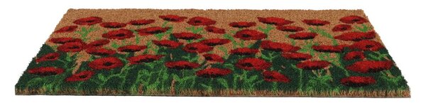 Rohožka z kokosového vlákna 40x60 cm - Esschert Design