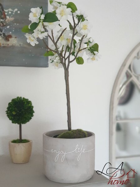 Buxus na kmienku v kvetináči - Ø10 * 24 cm - J-Line by Jolipa