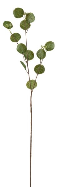 Zelená kytička Honesty - 68cm - J-Line by Jolipa