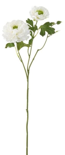 Biela kytička Iskerník - 56cm - J-Line by Jolipa
