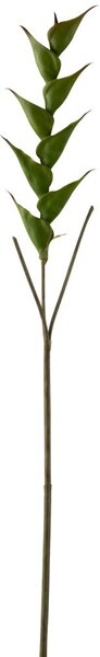 Zelená kvetina Heliconia - 141cm - J-Line by Jolipa
