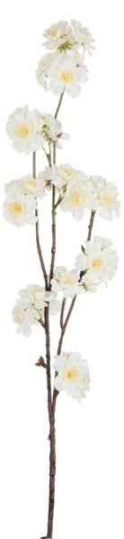 Dekoračné umelá vetvička s krémovými kvetmi Kersenboom - 77,5 cm - J-Line by Jolipa