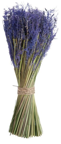 Dekorácie zväzok levanduľa Lavender - 40 cm - J-Line by Jolipa