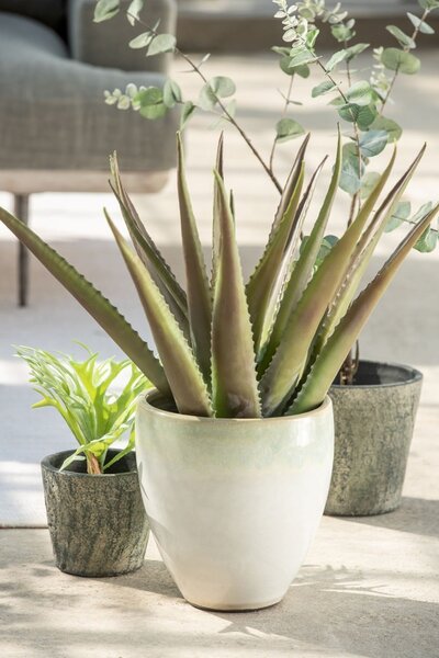 Dekorácie Eucalyptus v kvetináči - Ø12 * 43cm - J-Line by Jolipa