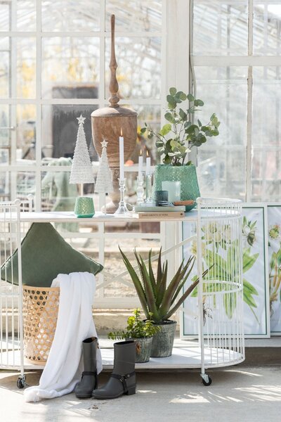 Dekorácie Eucalyptus v kvetináči - Ø12 * 43cm - J-Line by Jolipa