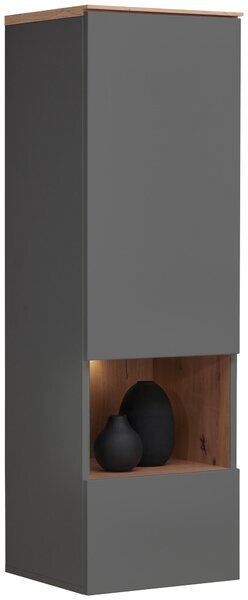 ZÁVESNÁ VITRÍNA, grafitová, dub artisan, 40/126/37 cm Hom`in - Sklenené vitríny