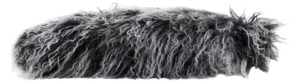 Vankúš biela / čierna ovčej kože kučeravý dlhý chlp Curly - 50 * 30 * 10cm - Mars & More