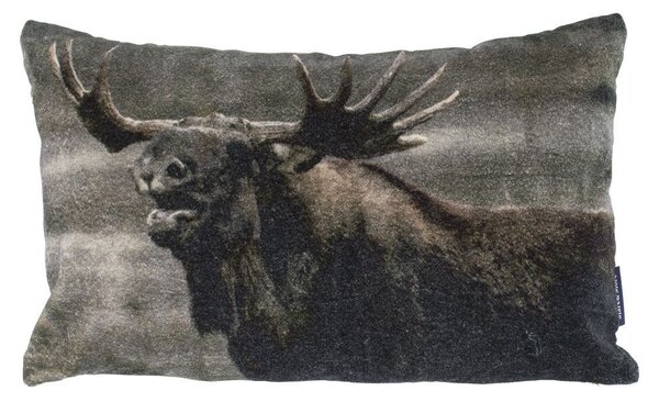 Zamatový vankúš s Losom - 50 * 30 * 15cm - Mars & More