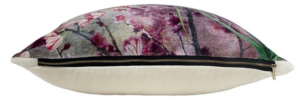 Modro- ružový zamatový vankúš očarujúce papagáj - 45 * 45 * 15cm - Mars & More