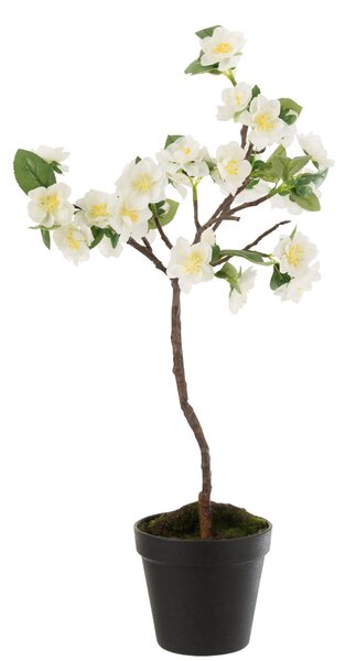 Dekorácie umelý biely kvitnúce stromček - 24-24 * 52 cm - J-Line by Jolipa