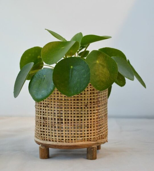 Okrúhly bambusový kvetináč na nožičkách Bamboo - Ø17 * 18 cm - Van der Leeden