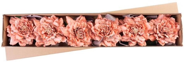 6 ks Kvet MagicHome, pivónia, so stuhou, marhuľová, stonka, veľkosť kvetu: 17 cm, dĺžka kvetu: 37 c