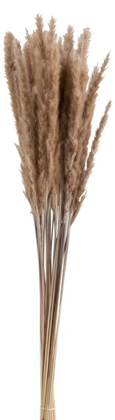 Zväzok sušené trávy hnedé - 9 * 9 * 82 cm - J-Line by Jolipa