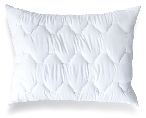 WALIA® WALIA® Luxusný plnený vankúš POLAR 70x90 cm