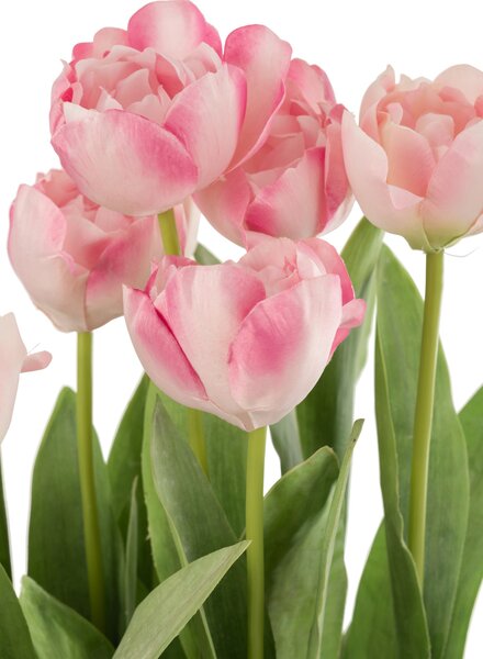 Ružová dekoračné kytička Tulipány v črepníku - 30 * 31 * 48cm - J-Line by Jolipa