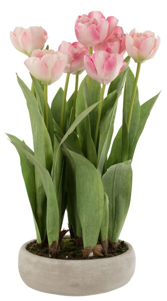 Ružová dekoračné kytička Tulipány v črepníku - 30 * 31 * 48cm - J-Line by Jolipa