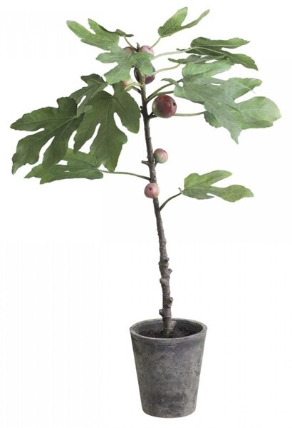 Dekorácia umelý Figovník v keramickom kvetináči Old - 76cm - Chic Antique