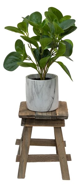 Drevený dekoračný antik stolík na rastliny - 15 * 15 * 21 cm - Clayre & Eef