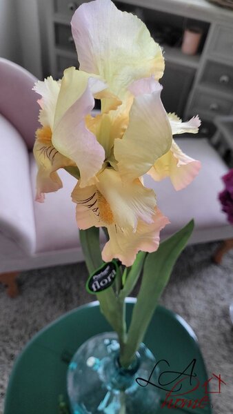 Dekorácia umelý žltý kosatec Iris Pale - 81 cm - Ostatní
