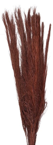Vínová sušená kytica - 10*5*85 cm - Clayre & Eef