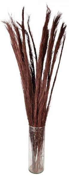 Vínová sušená kytica - 10*5*85 cm - Clayre & Eef