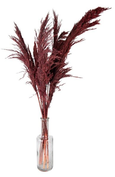 Vínová kytica sušené kvety bambusu Bamboo - 100 cm (10ks) - Clayre & Eef