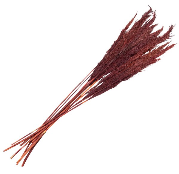 Vínová kytica sušené kvety bambusu Bamboo - 100 cm (10ks) - Clayre & Eef