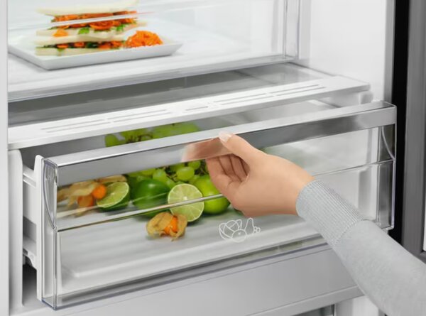 Electrolux LNT7ME36G2 - Kombinovaná chladnička
