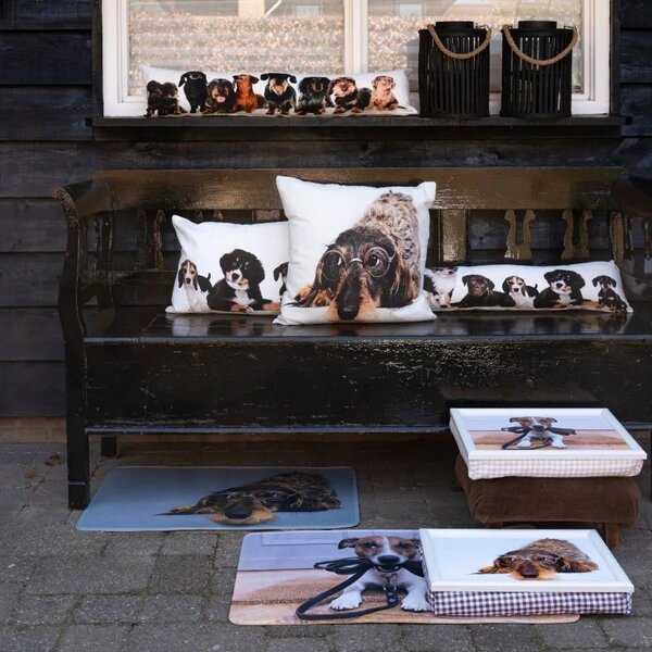 Podnos na nohy s jazvečíkom v okuliaroch Dachshund humour - 43*33*7cm - Mars & More