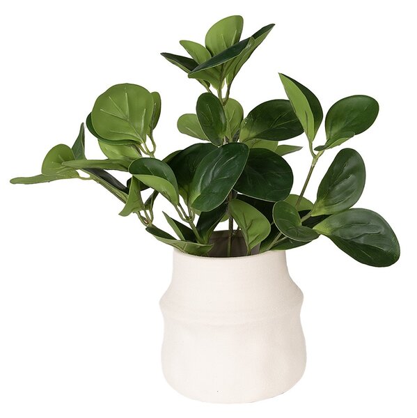 Béžový antik obal na kvetináč Lora L - Ø17*16 cm - Clayre & Eef