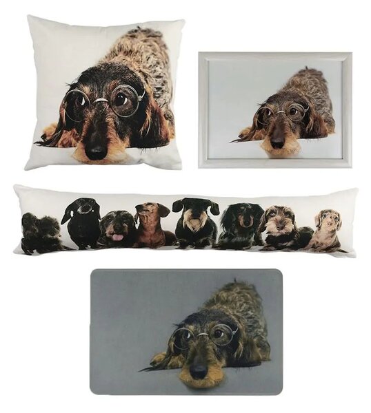 Podnos na nohy s jazvečíkom v okuliaroch Dachshund humour - 43*33*7cm - Mars & More