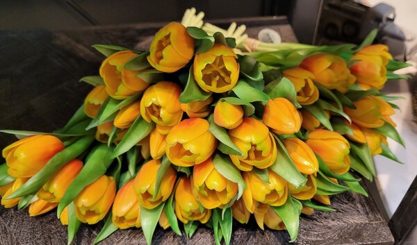 Kytica 7ks oranžových realistických tulipánov - 45cm - J-Line by Jolipa