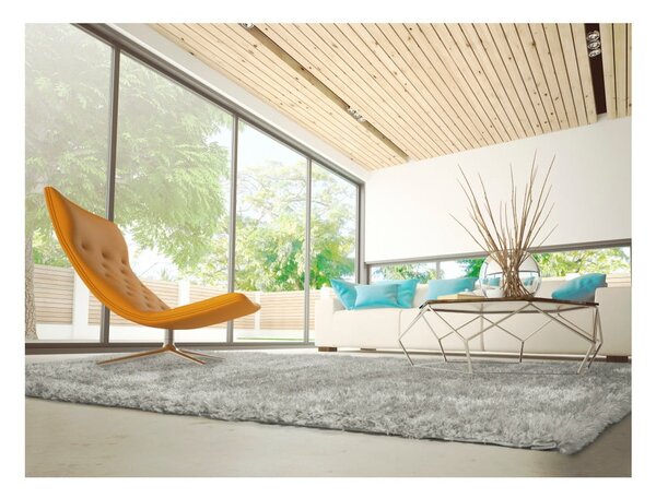 Sivý koberec vhodný aj do exteriéru Universal Aloe Liso, 120 × 170 cm