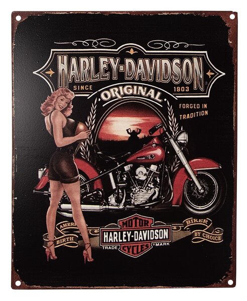 Čierna nástenná kovová ceduľa Harley Davidson - 20*1*25 cm - Clayre & Eef