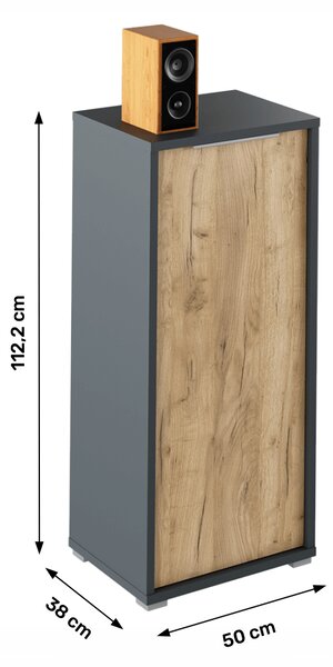 KONDELA Skrinka, grafit/dub artisan, RIOMA NEW TYP 10