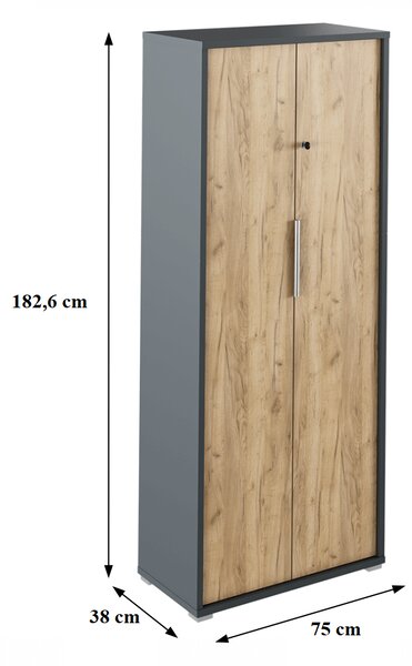 KONDELA Skriňa so zámkom, grafit/dub artisan, RIOMA NEW TYP 31