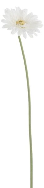 Biela umelá dekoratívna kvetina Gerbera - 10*10*64 cm - J-Line by Jolipa