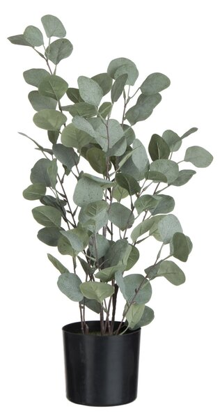 Dekorácie Eucalyptus v kvetináči - Ø12 * 43cm - J-Line by Jolipa
