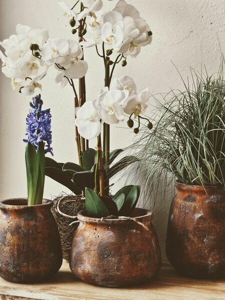 Dekorácia umelá kvetina Orchidea s koreňmi a machom - 23*17*40 cm - J-Line by Jolipa